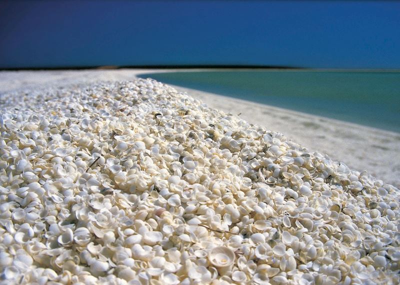 Shell Beach, Shark Bay