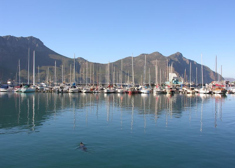 Hout Bay Harbour