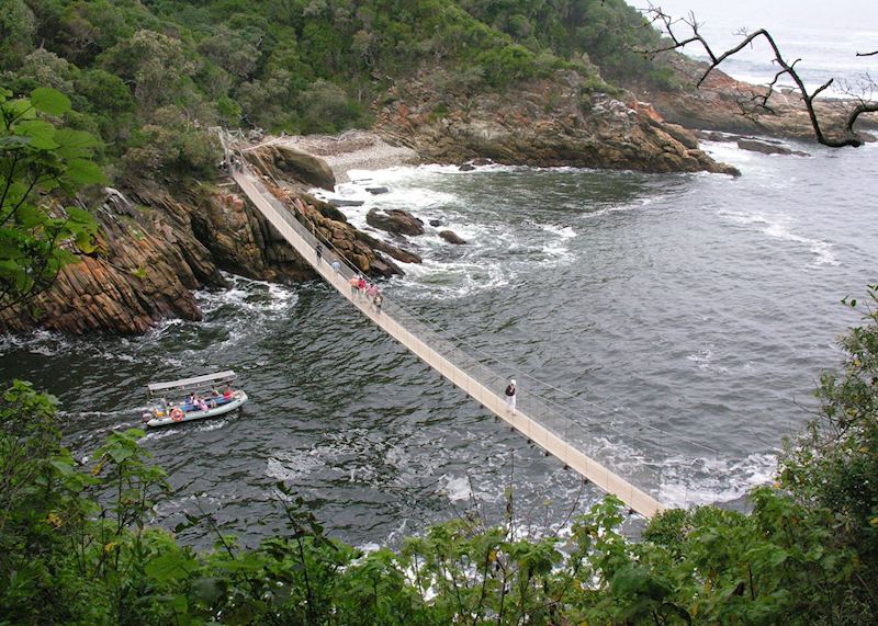 Tsitsikamma Forest