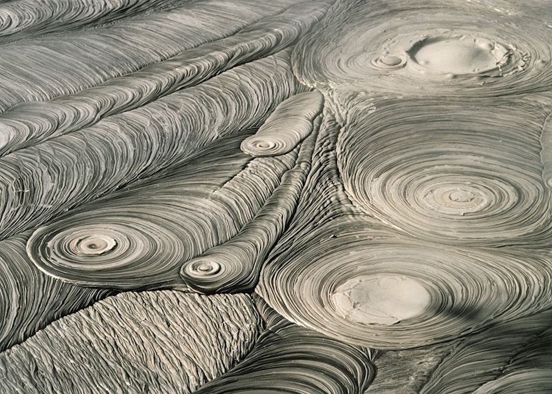 Boiling mud pools, Rotorua