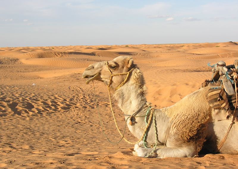 Ksar Ghilane, Tunisia