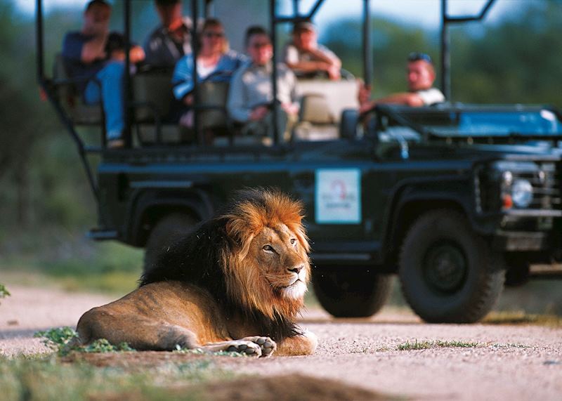 Close-up encounter