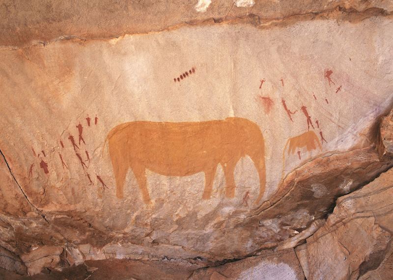 Rock Art Cederberg