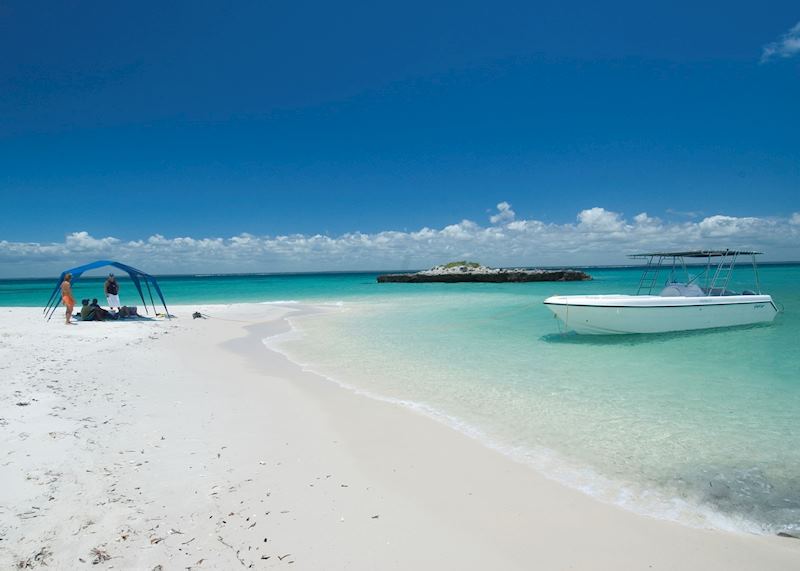 Picnic on Pansy Island