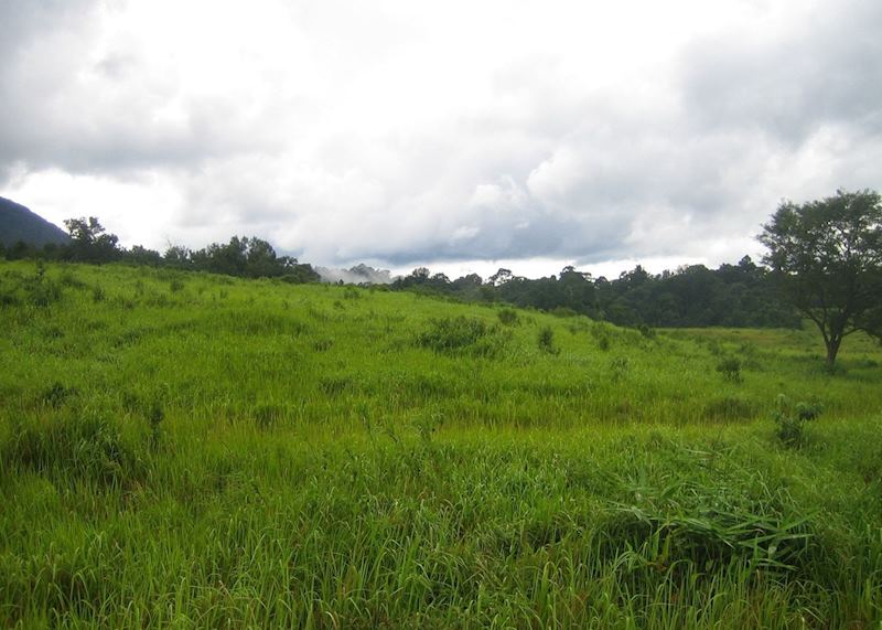 Khao Yai National Park, Thailand