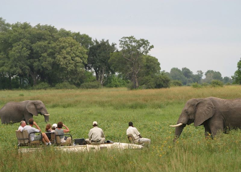 Game viewing from Kwara Camp, Botswana