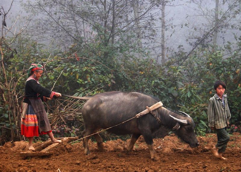 Farming in Ha Giang