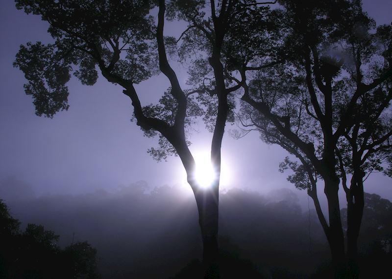 Sunrise in the Danum Valley, Malaysian Borneo
