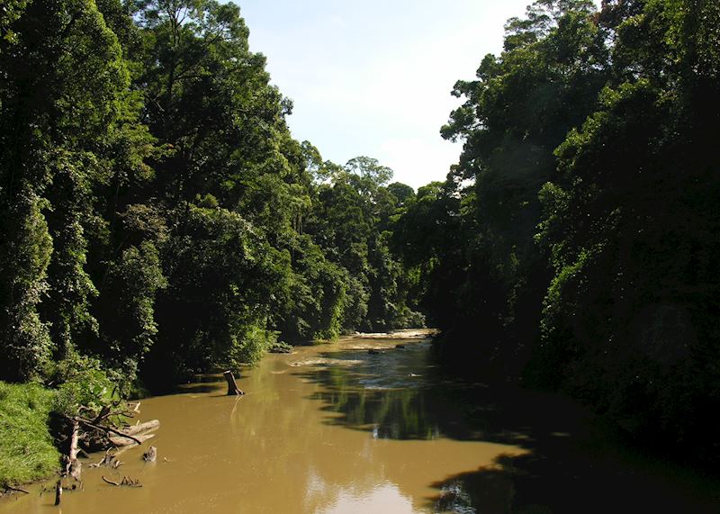 Danum River, Danum Valley, Malaysian Borneo
