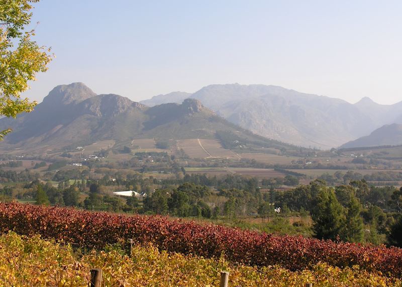 Franschhoek Valley Vista, La Petit Ferme