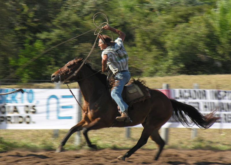 Cowboy from the Pantanal