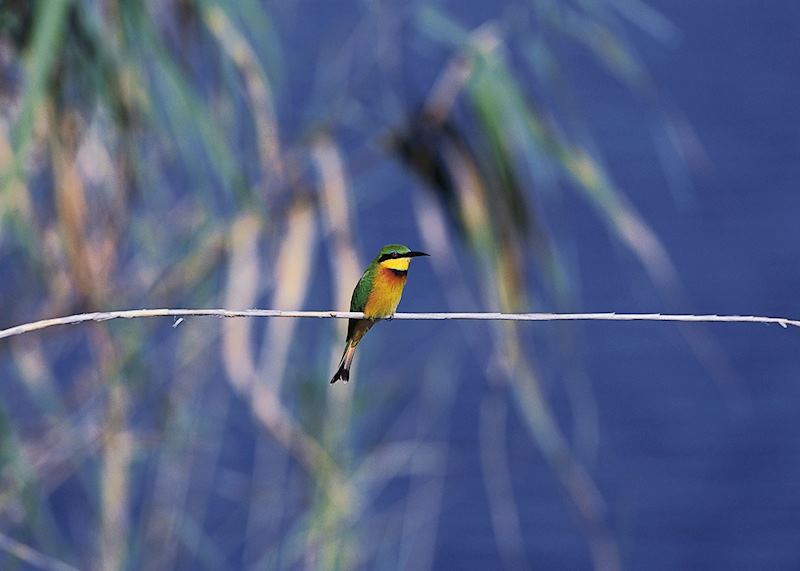 Mudumu and Mamili National Park, Namibia