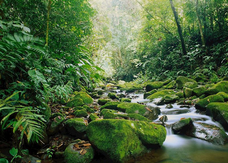 Los Angeles Cloudforest, Costa Rica