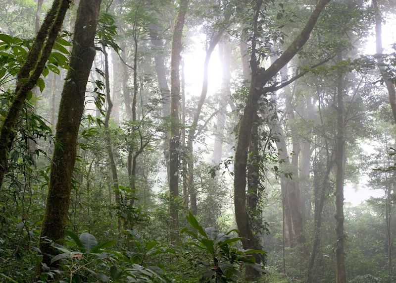 San Gerardo de Dota, Costa Rica