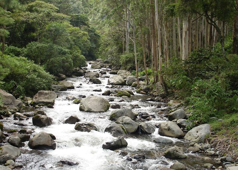 Boquete, Panama