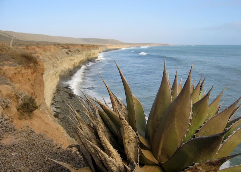 Baja Coastline, Mexico
