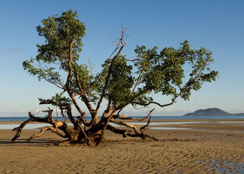 Nosy Be, Madagascar