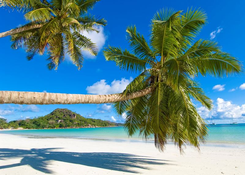 Seychelles Beach