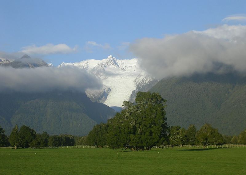 Fox Glacier, New Zealand