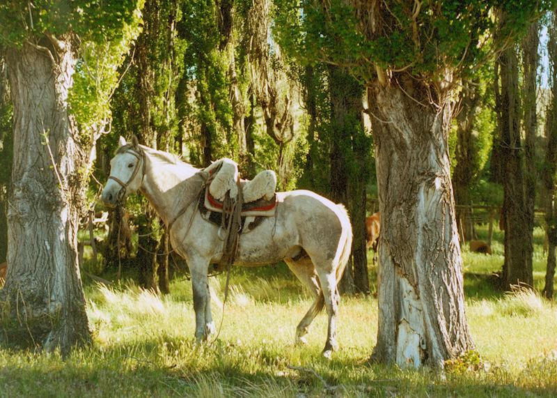 San Martin de los Andes, Argentina