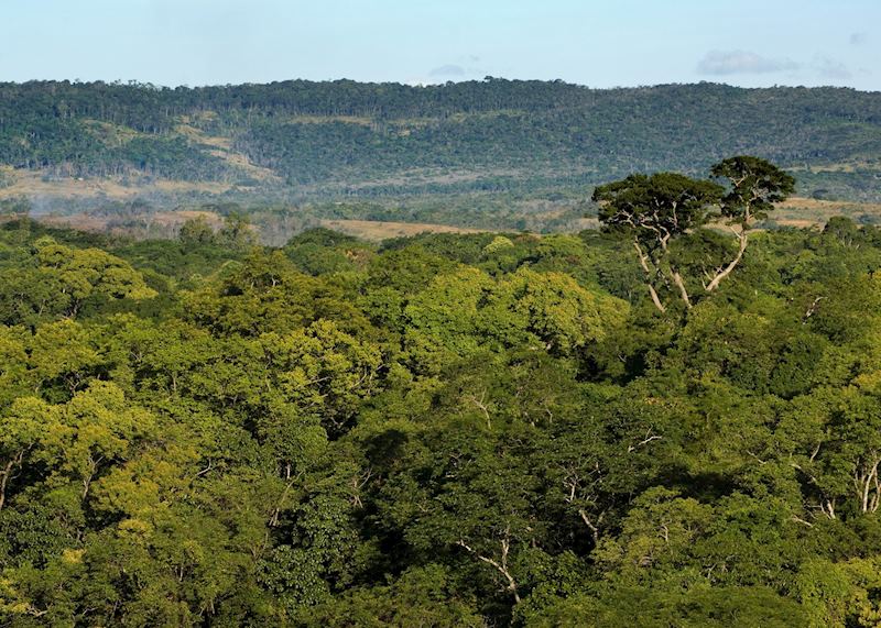 Ankarana Special Reserve