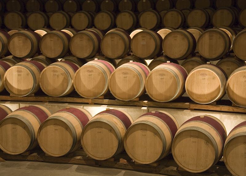 Colchagua wine region, Chile