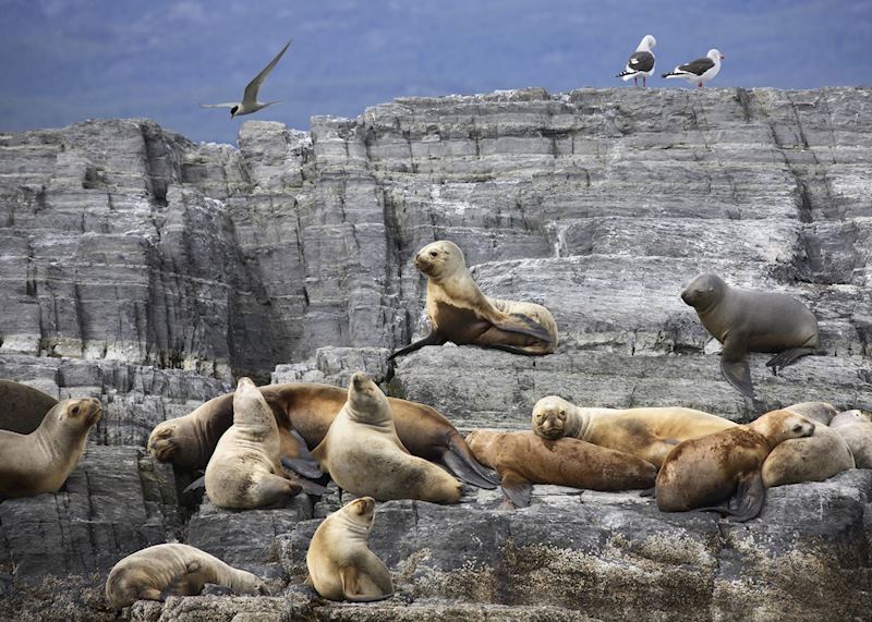 Ushuaia, Argentina