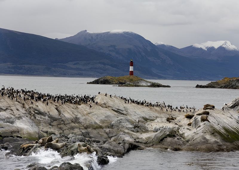 The Beagle Channel, Ushuaia