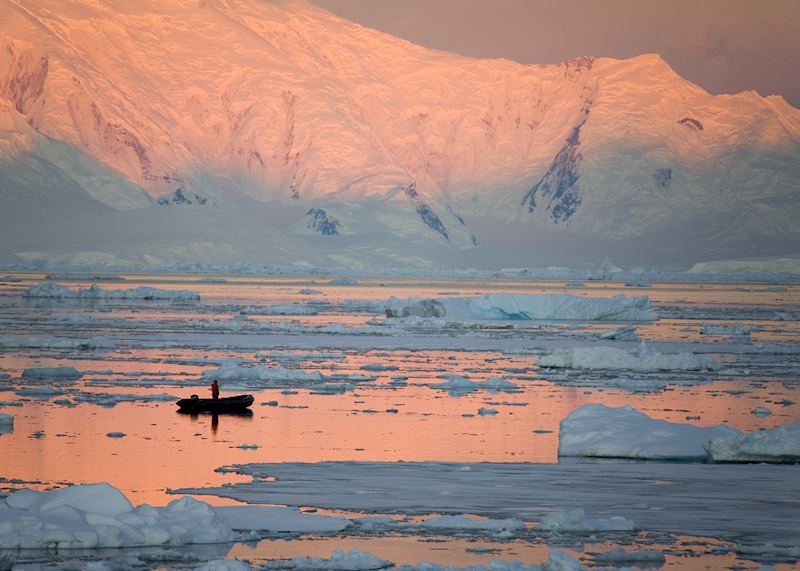 A polar scene