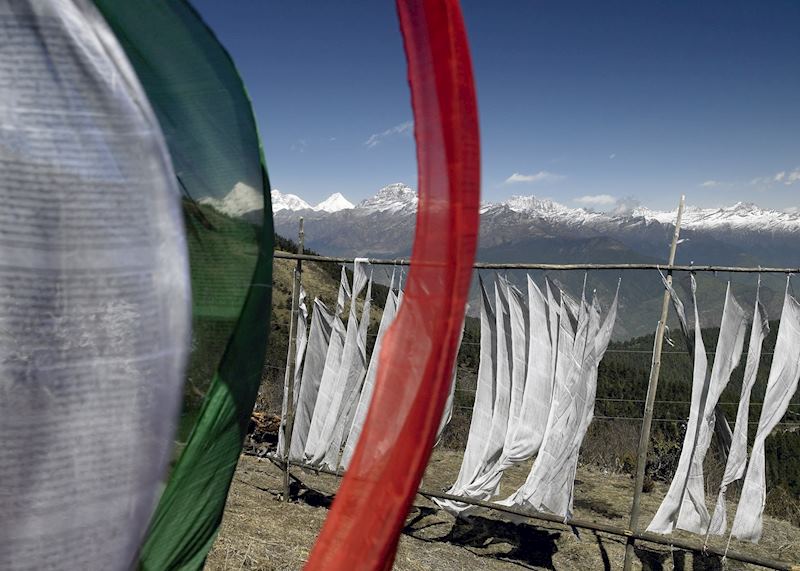 Prayer Flags, Punakha, Bhutan