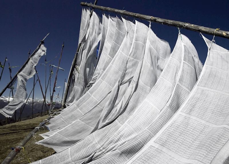 Prayer Flags, Punakha, Bhutan