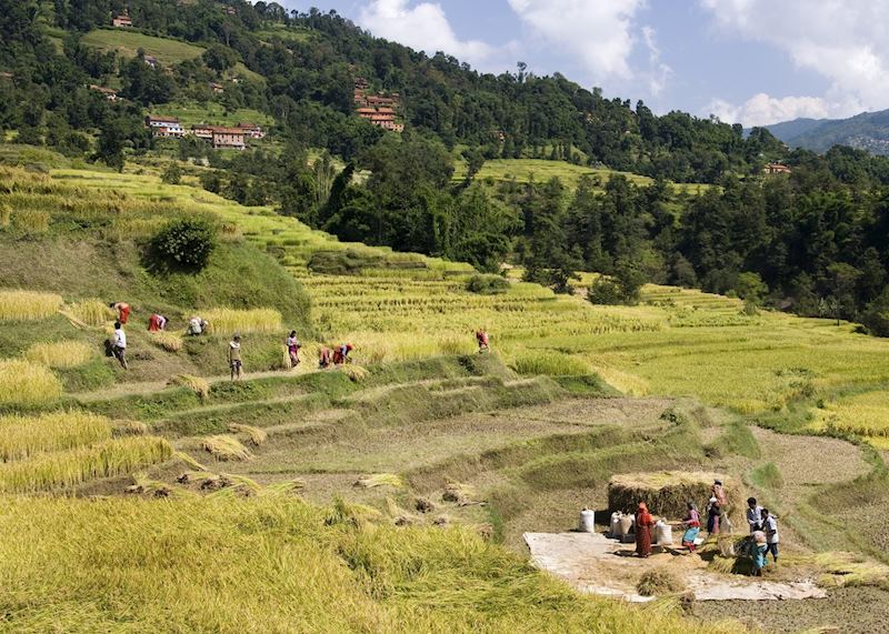 Village life, Kathmandu Valley, Nepal