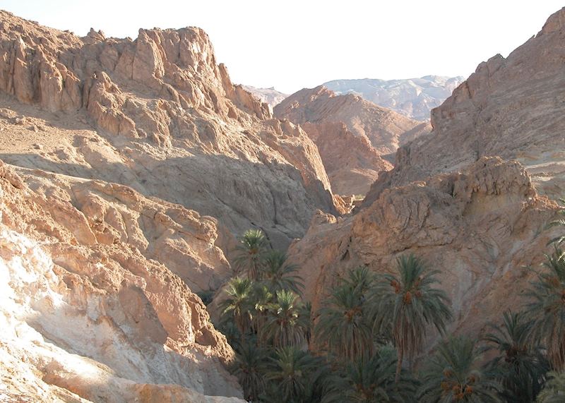 Chebika Oasis near Tamerza, Tunisia