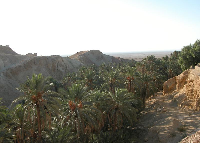 Chebika Oasis near Tamerza, Tunisia