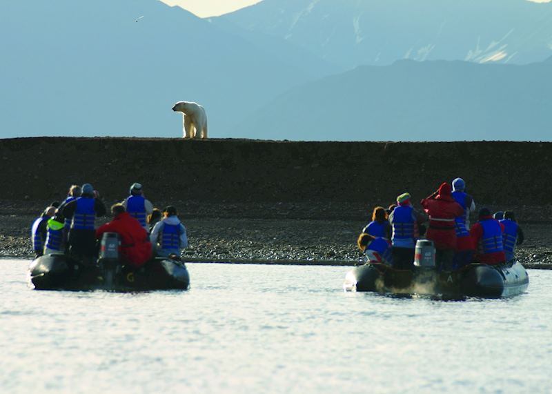 Wildlife watching by Zodiac, Spitsbergen