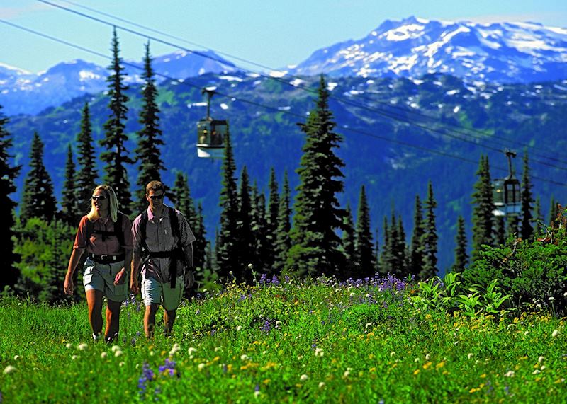 Hiking in alpine meadows, Whistler