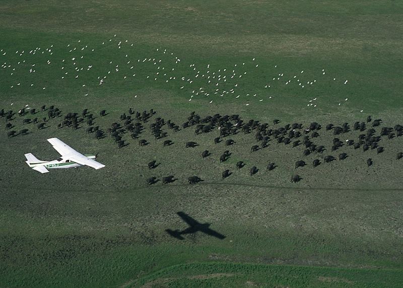 Flying over the Busanga Plains