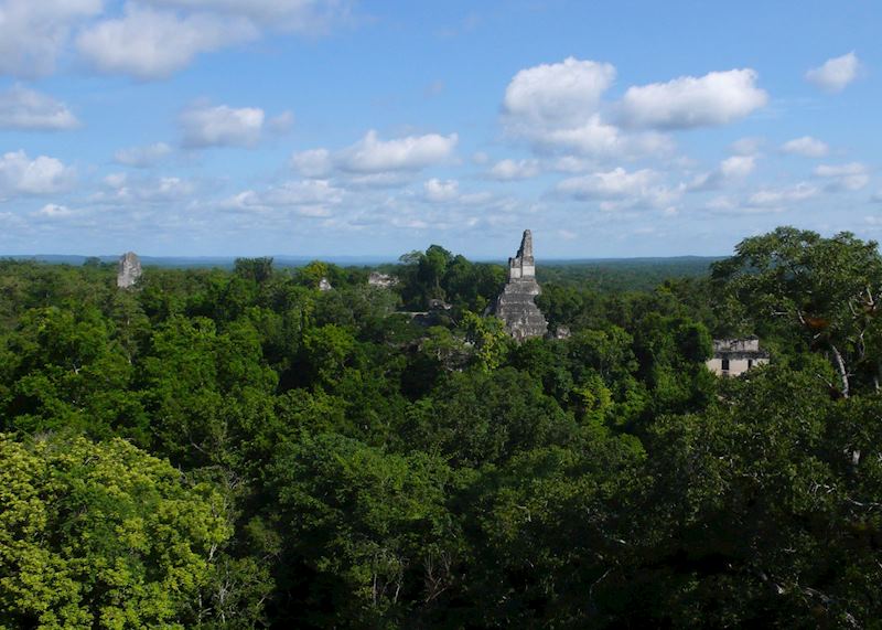Tikal ruins, Guatemala