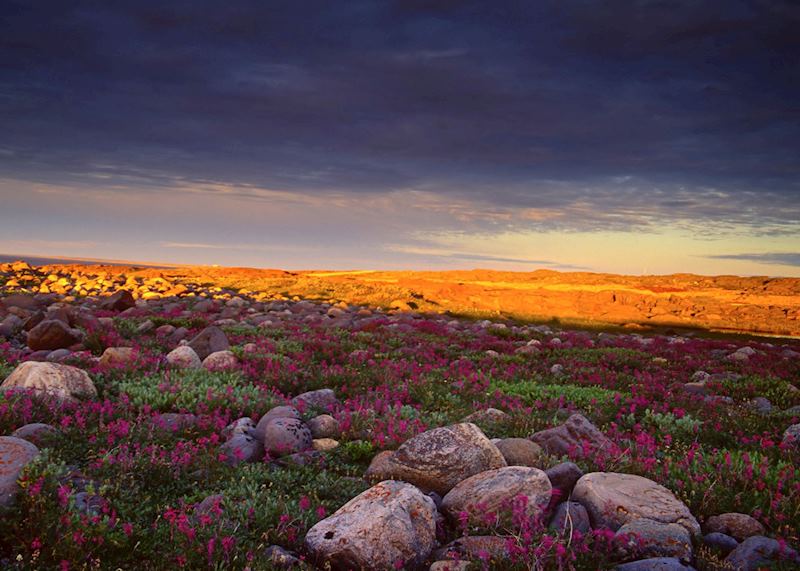 Dusk on the tundra, Manitoba