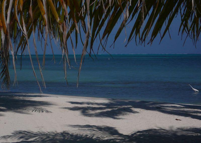 Ambergris Caye, Belize
