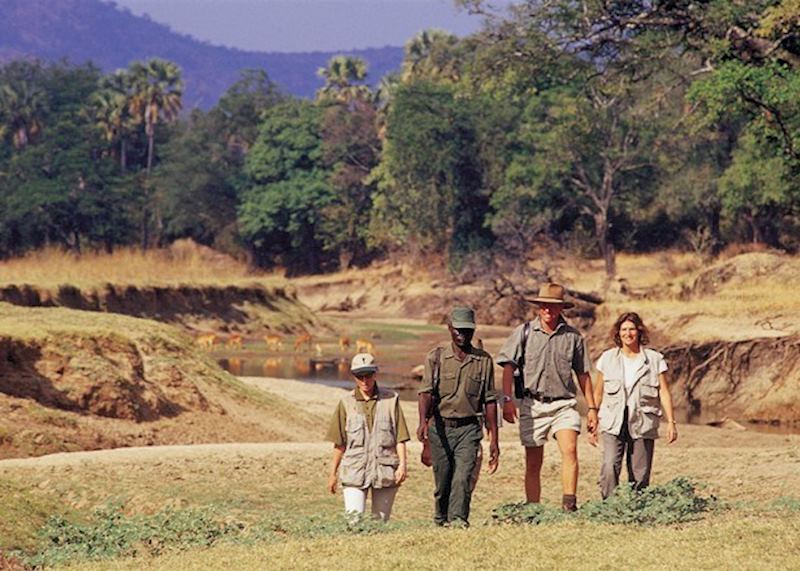 Walking safari in the South Luangwa