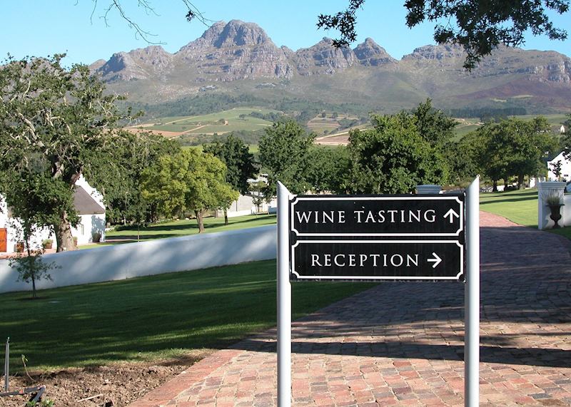 A wine farm in Stellenbosch