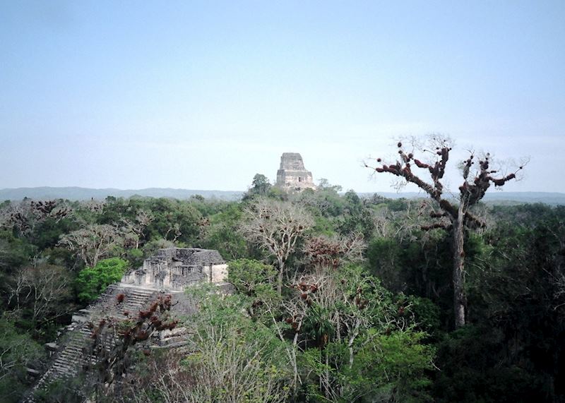 Tikal Ruins