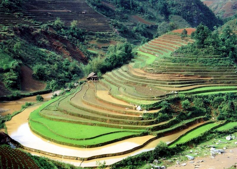 Views over the rice terraces of Sapa, Vietnam