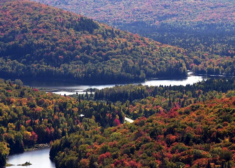 The Laurentians