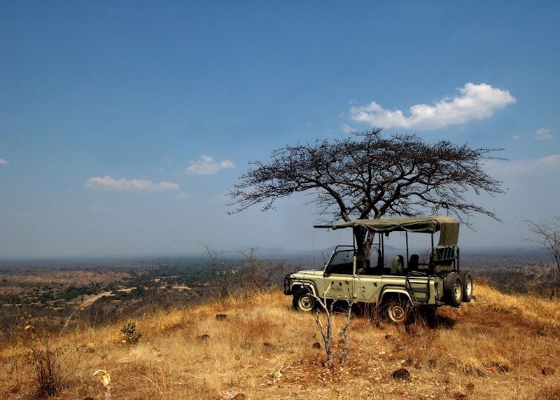 Game drive from Mdonya Old River Camp, Ruaha National Park