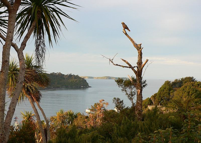 Stewart Island, New Zealand