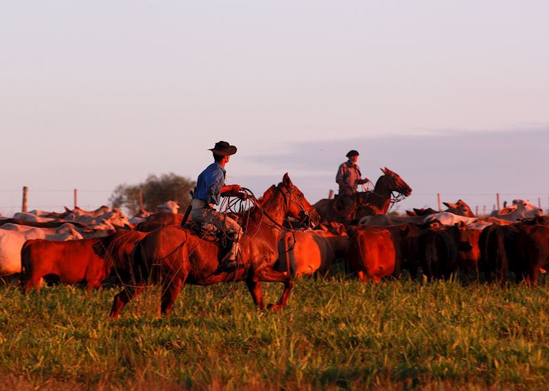 Gauchos at work at Estancia Santa Cecilia