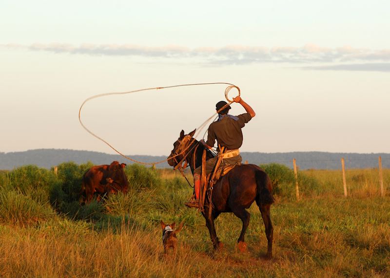 Gauchos at work at Estancia Santa Cecilia