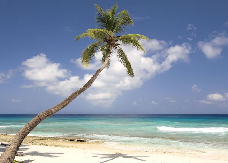 Seychelles beach